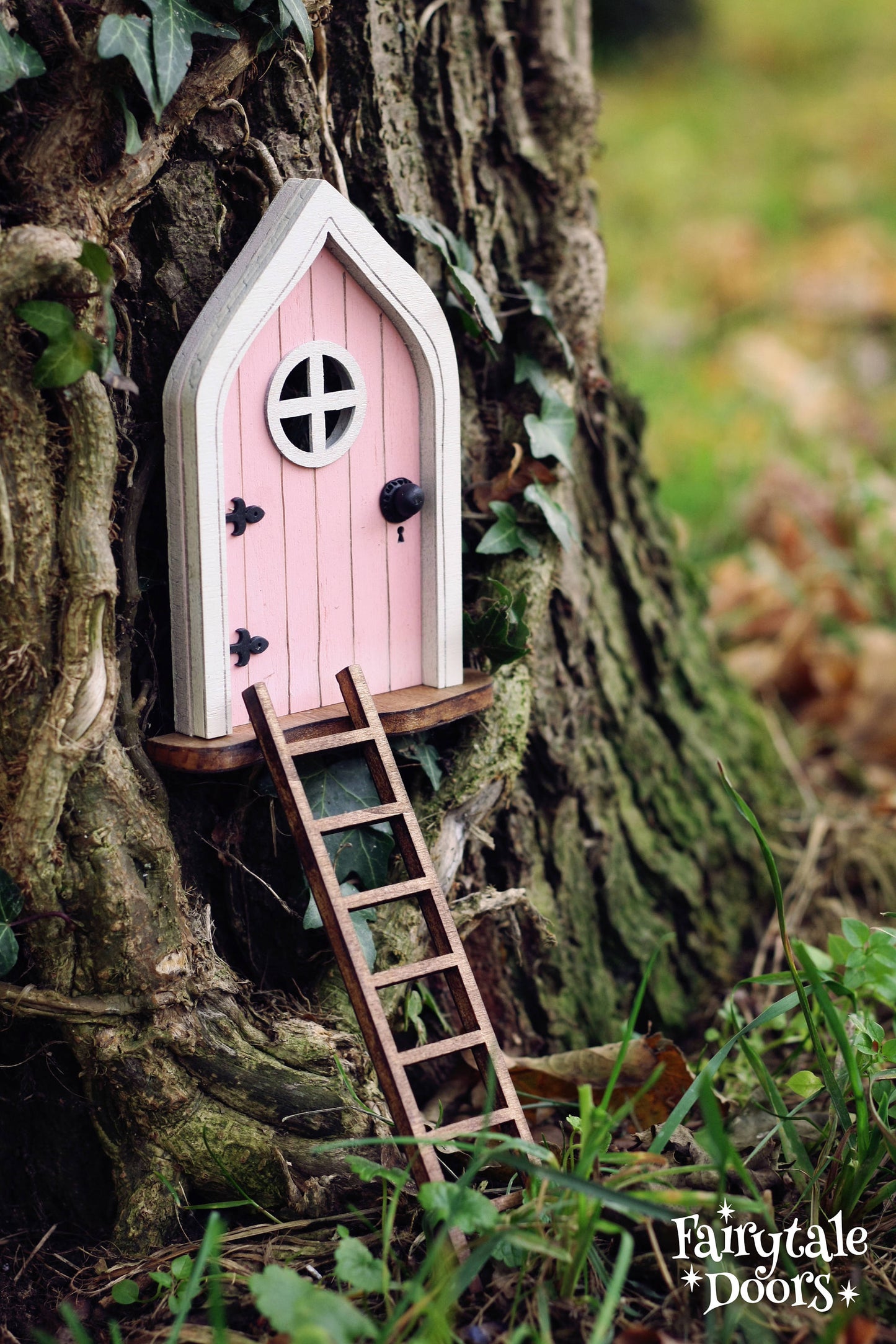 Fairy Ladder