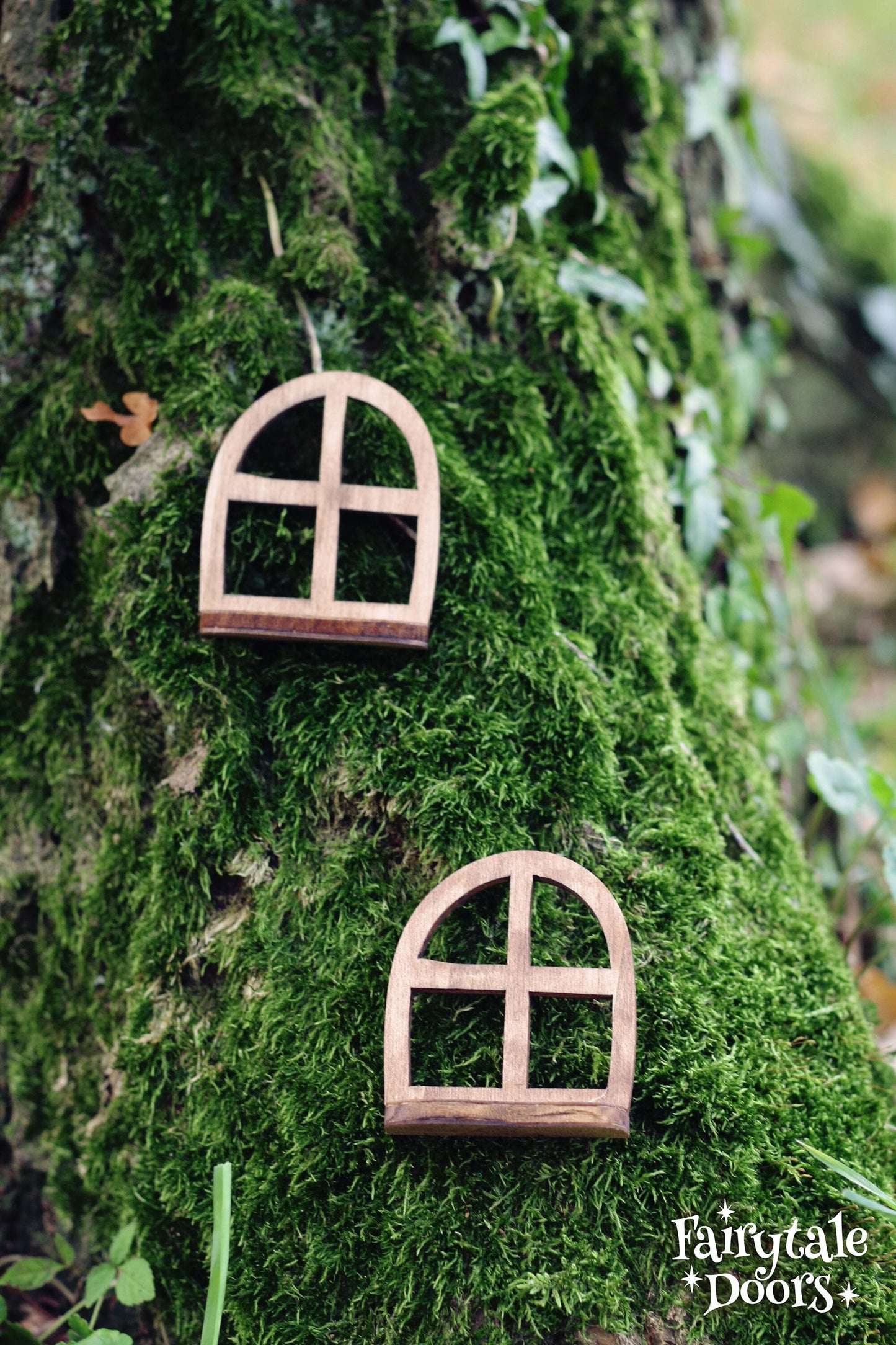 Fairy Window