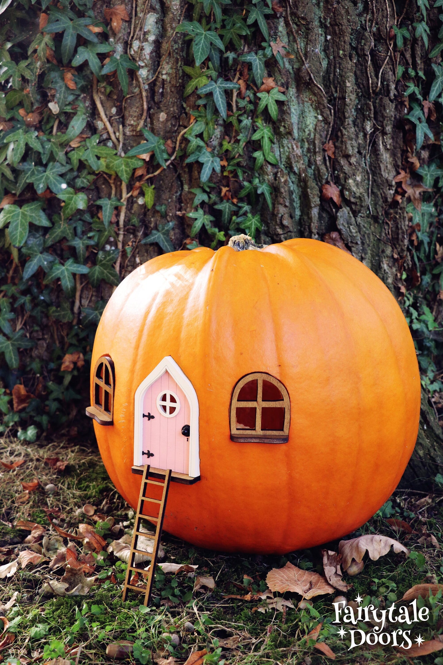 Fairy Pumpkin house set with Pink Door