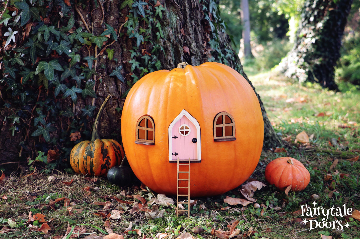 Fairy Pumpkin house set with Pink Door