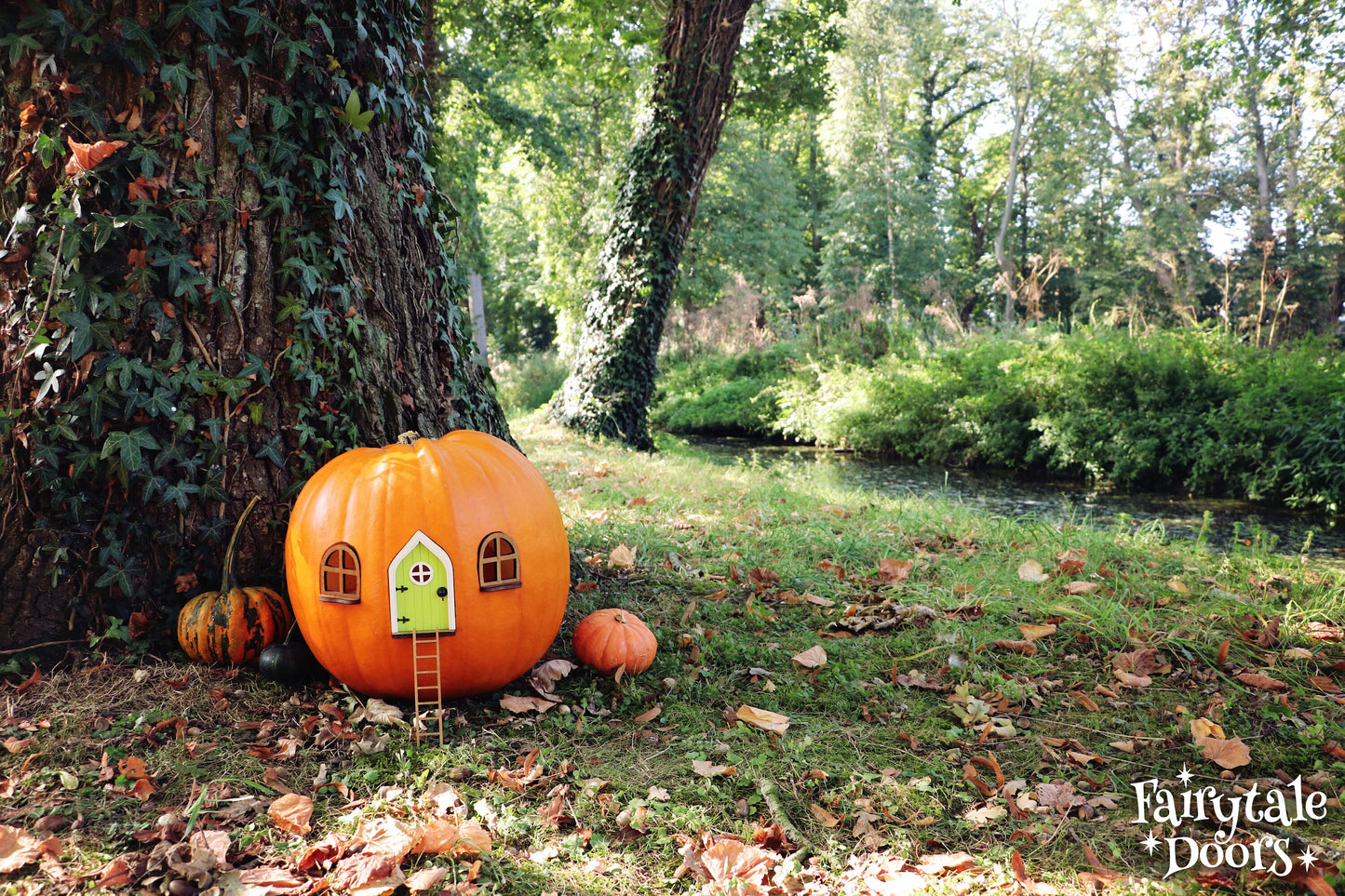 Fairy Pumpkin house set with Green Door