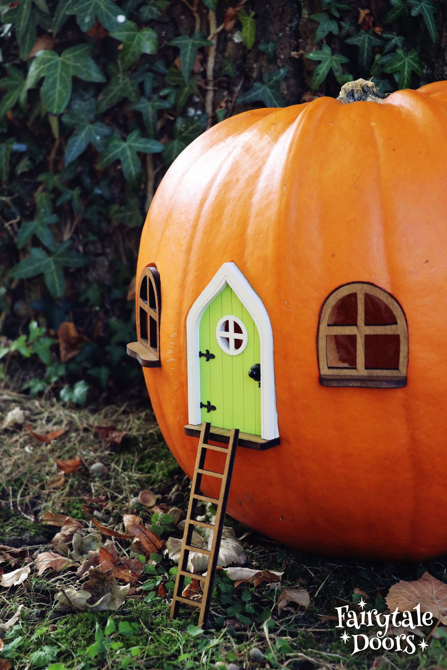 Fairy Pumpkin house set with Green Door