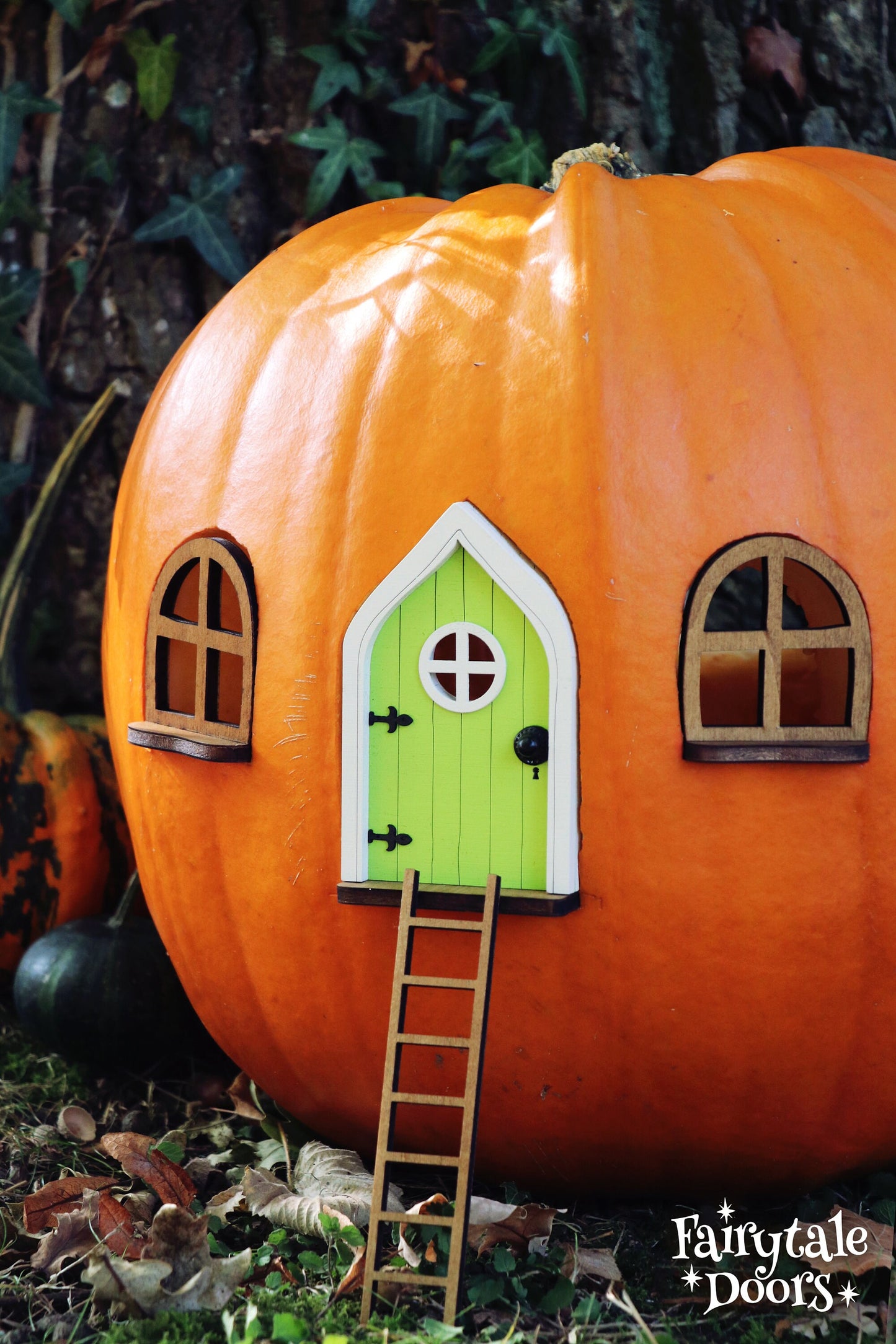 Fairy Pumpkin house set with Green Door