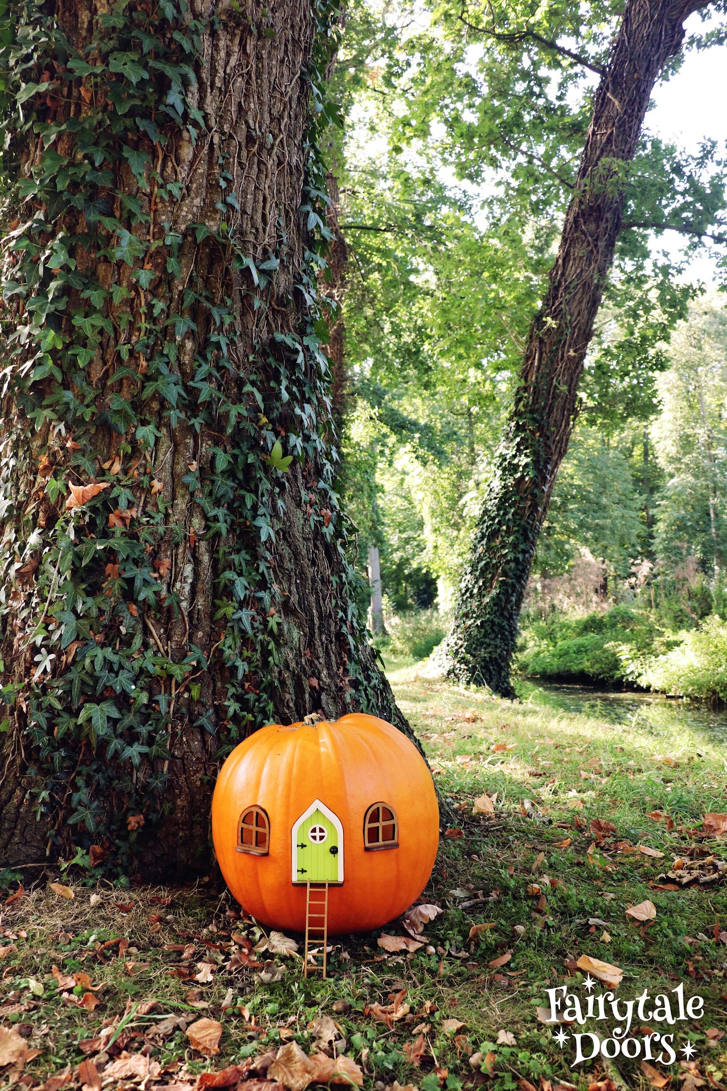 Fairy Pumpkin house set with Green Door