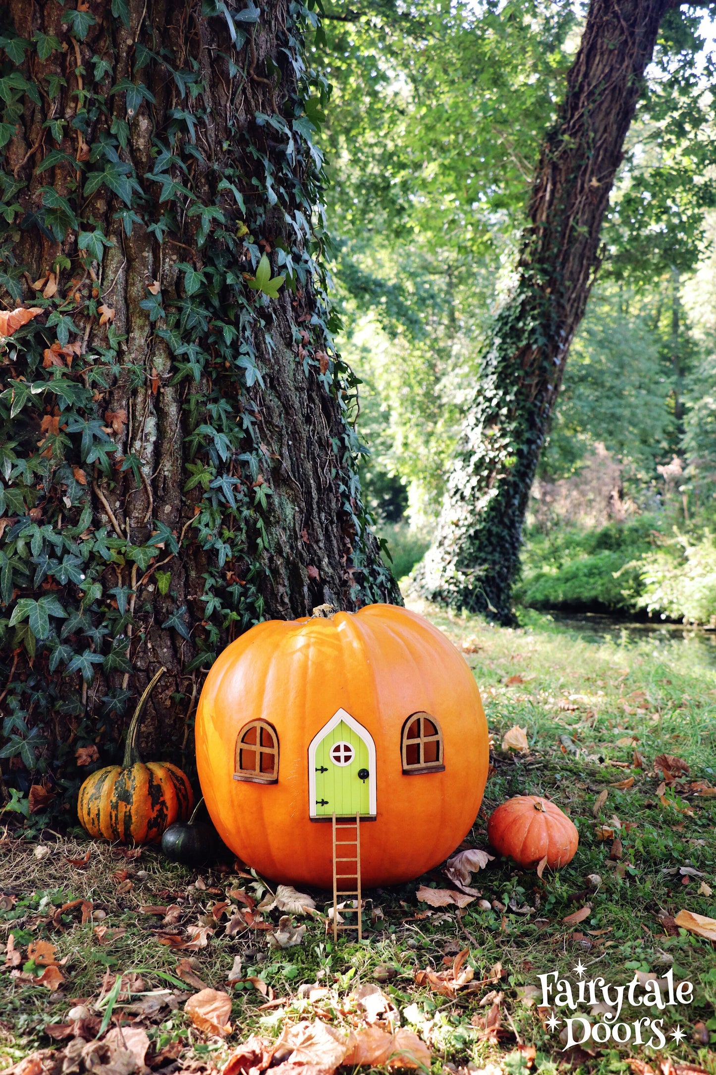 Fairy Pumpkin house set with Green Door
