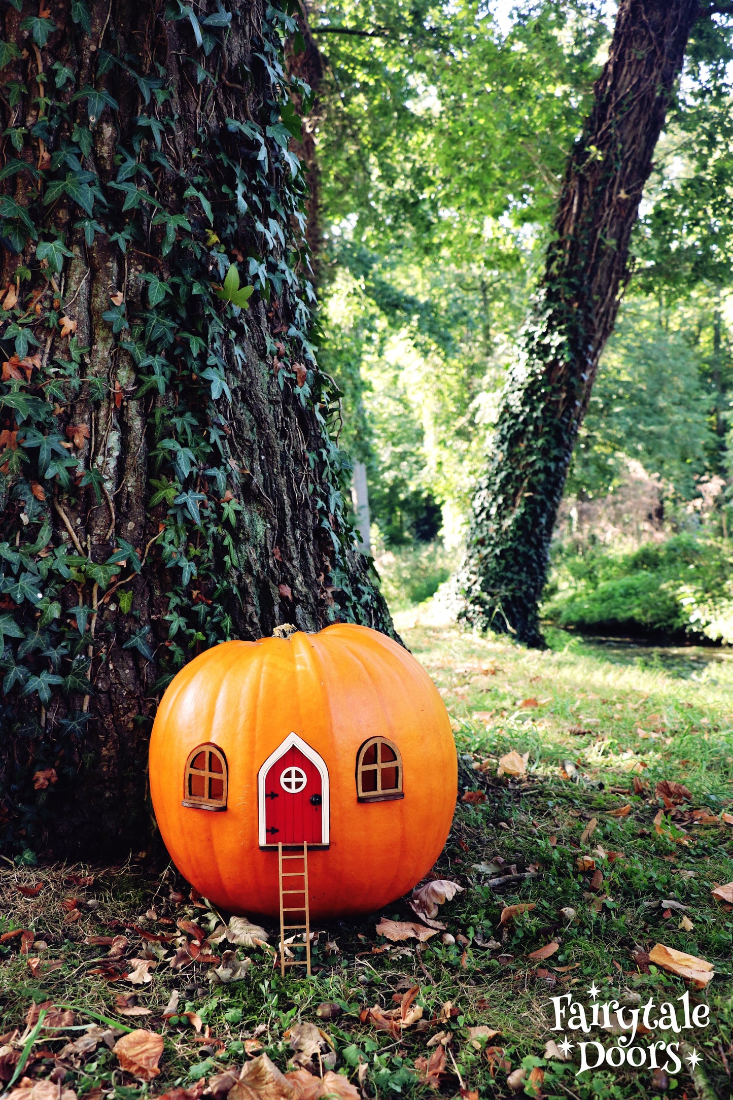 Fairy Pumpkin house set with Red Door