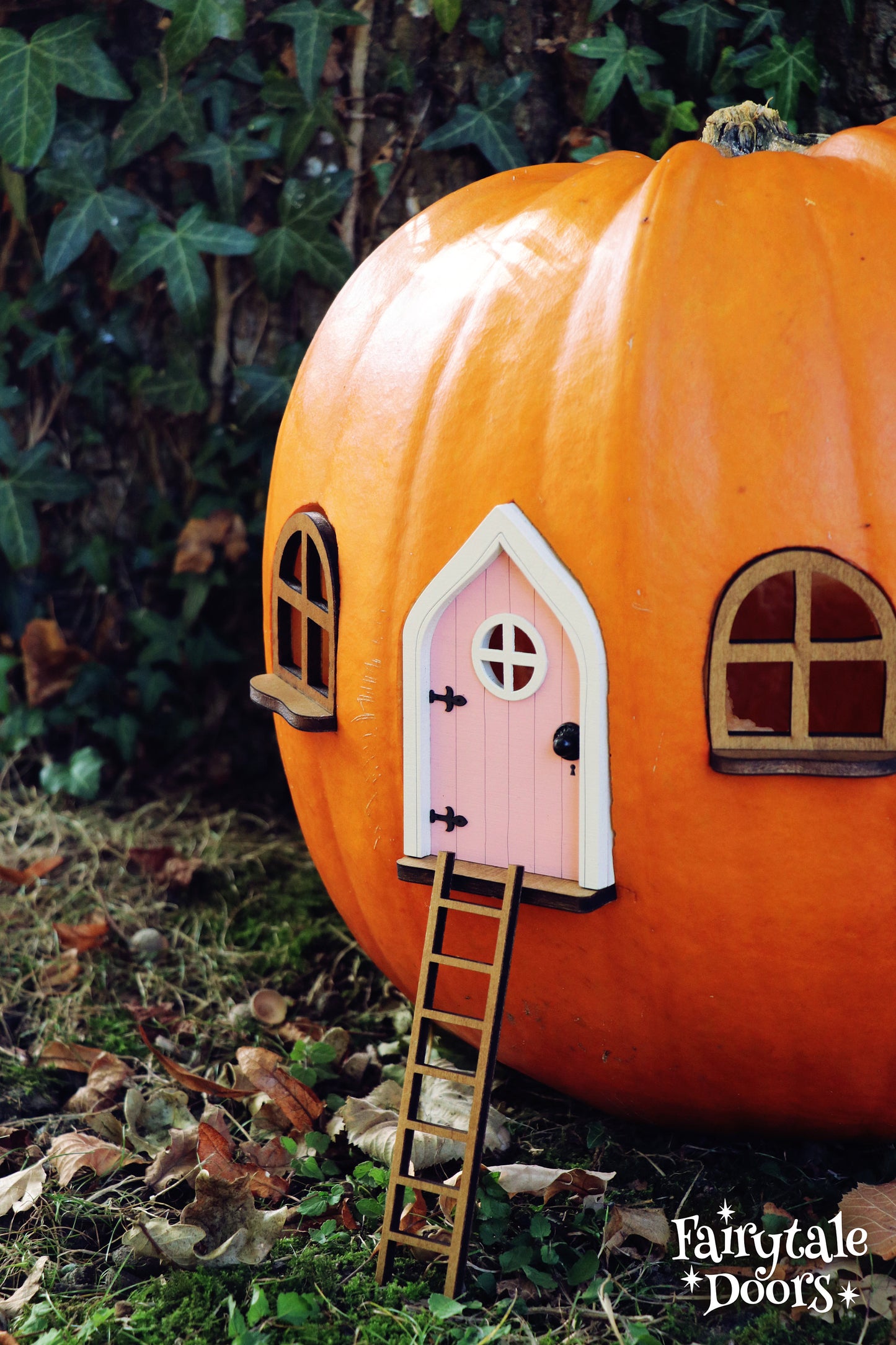 Fairy Pumpkin house set with Pink Door
