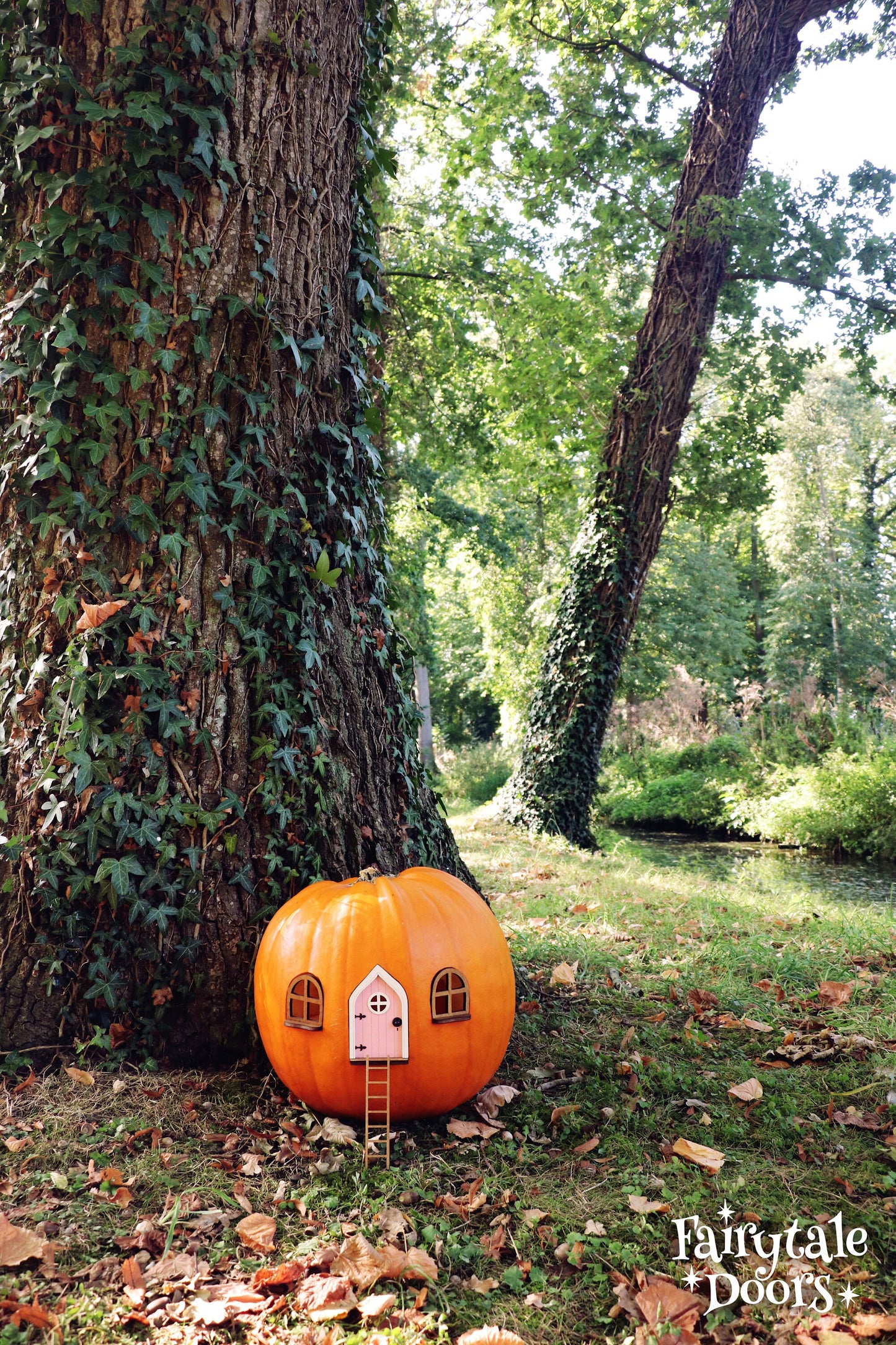 Fairy Pumpkin house set with Pink Door