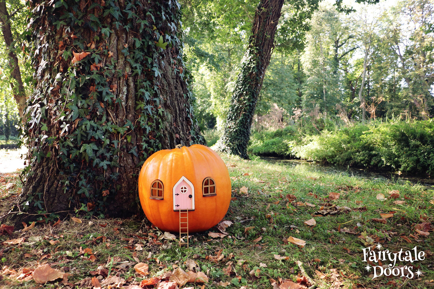 Fairy Pumpkin house set with Pink Door
