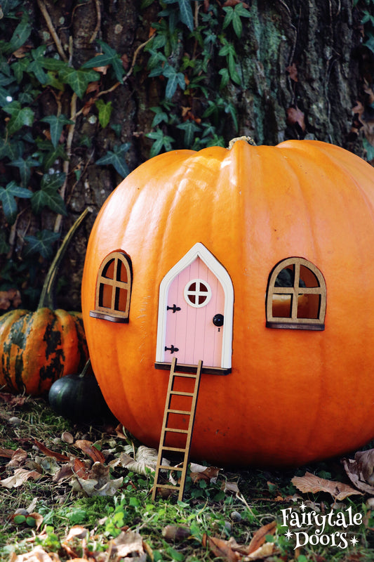Fairy Pumpkin house set with Pink Door