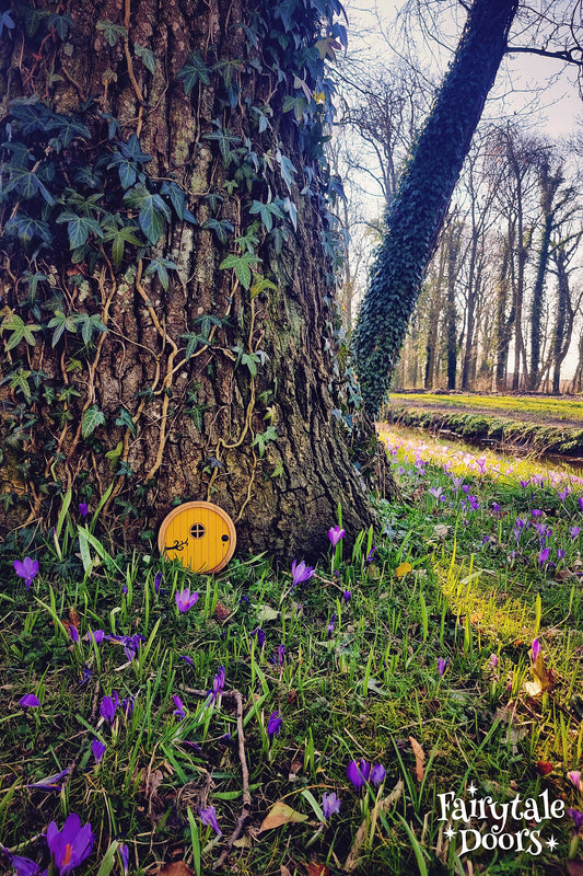 Fairy Door 'Otis' in Yellow