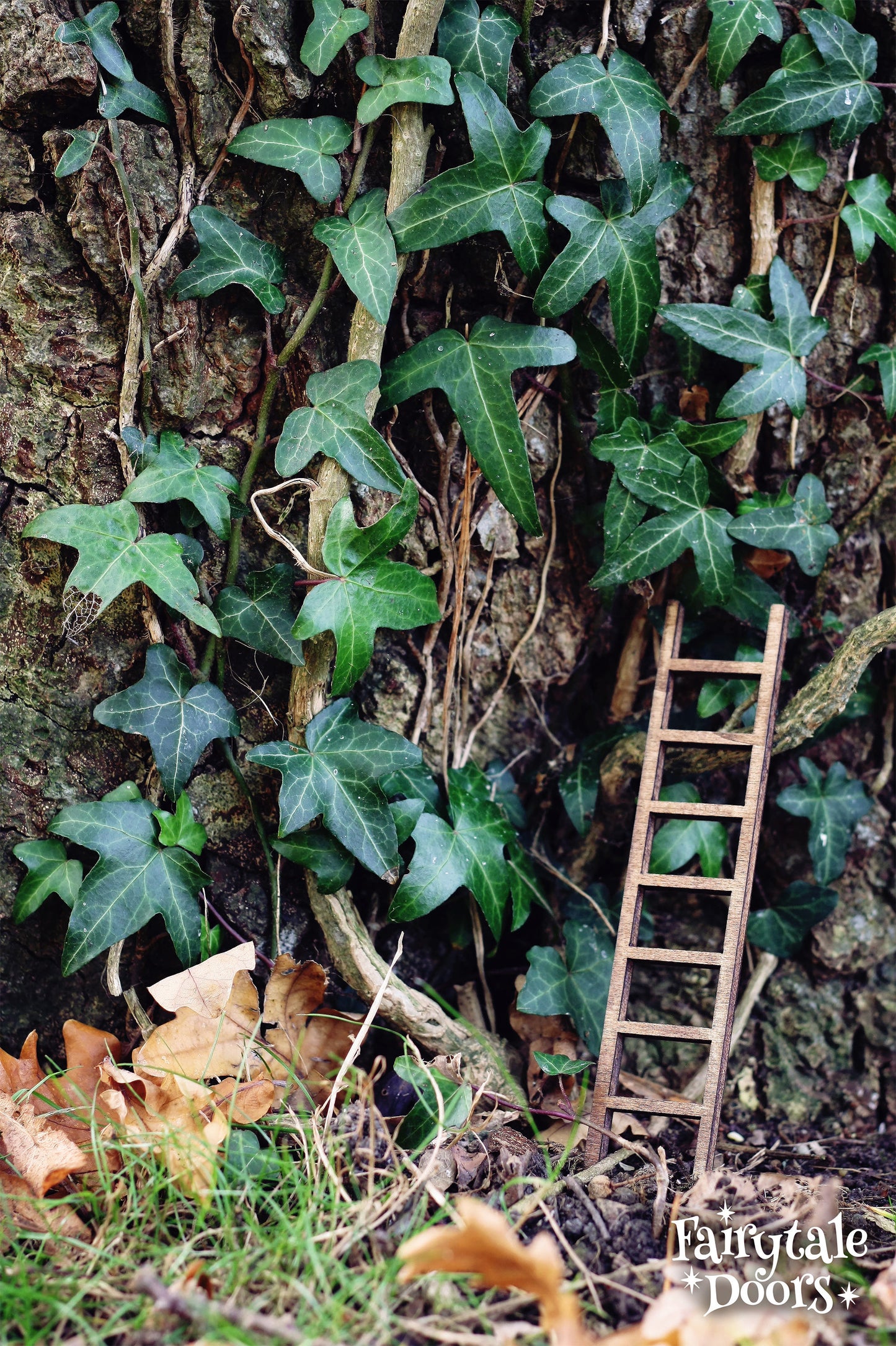 Fairy Ladder