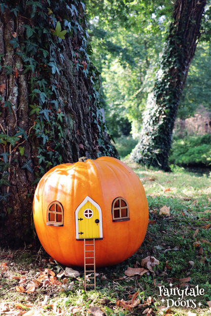 Fairy Pumpkin house set with Yellow Door