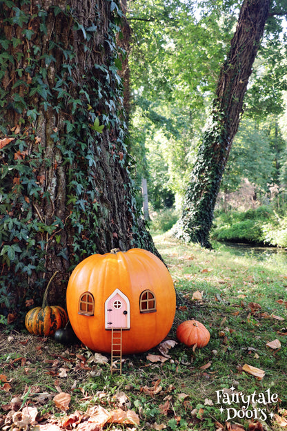 Fairy Pumpkin house set with Pink Door