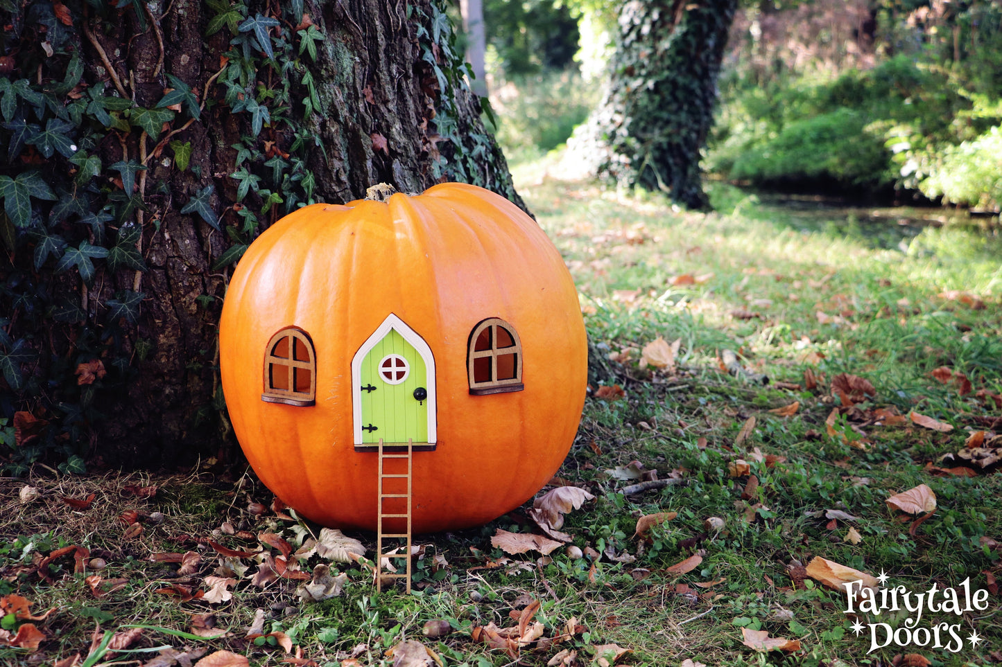 Fairy Pumpkin house set with Green Door