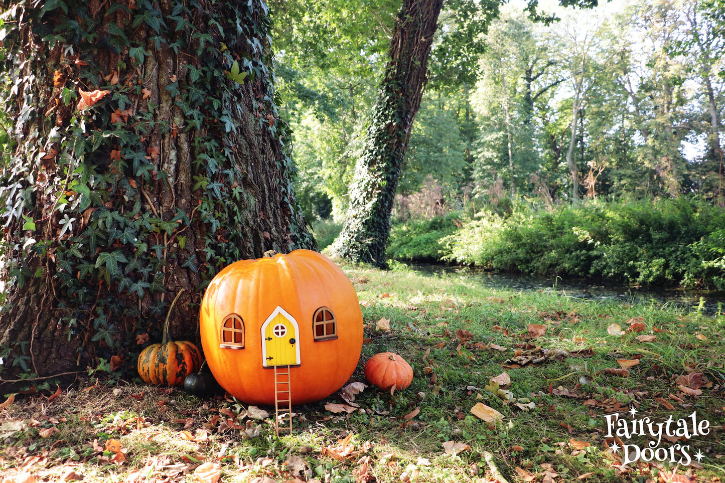 Fairy Pumpkin house set with Yellow Door