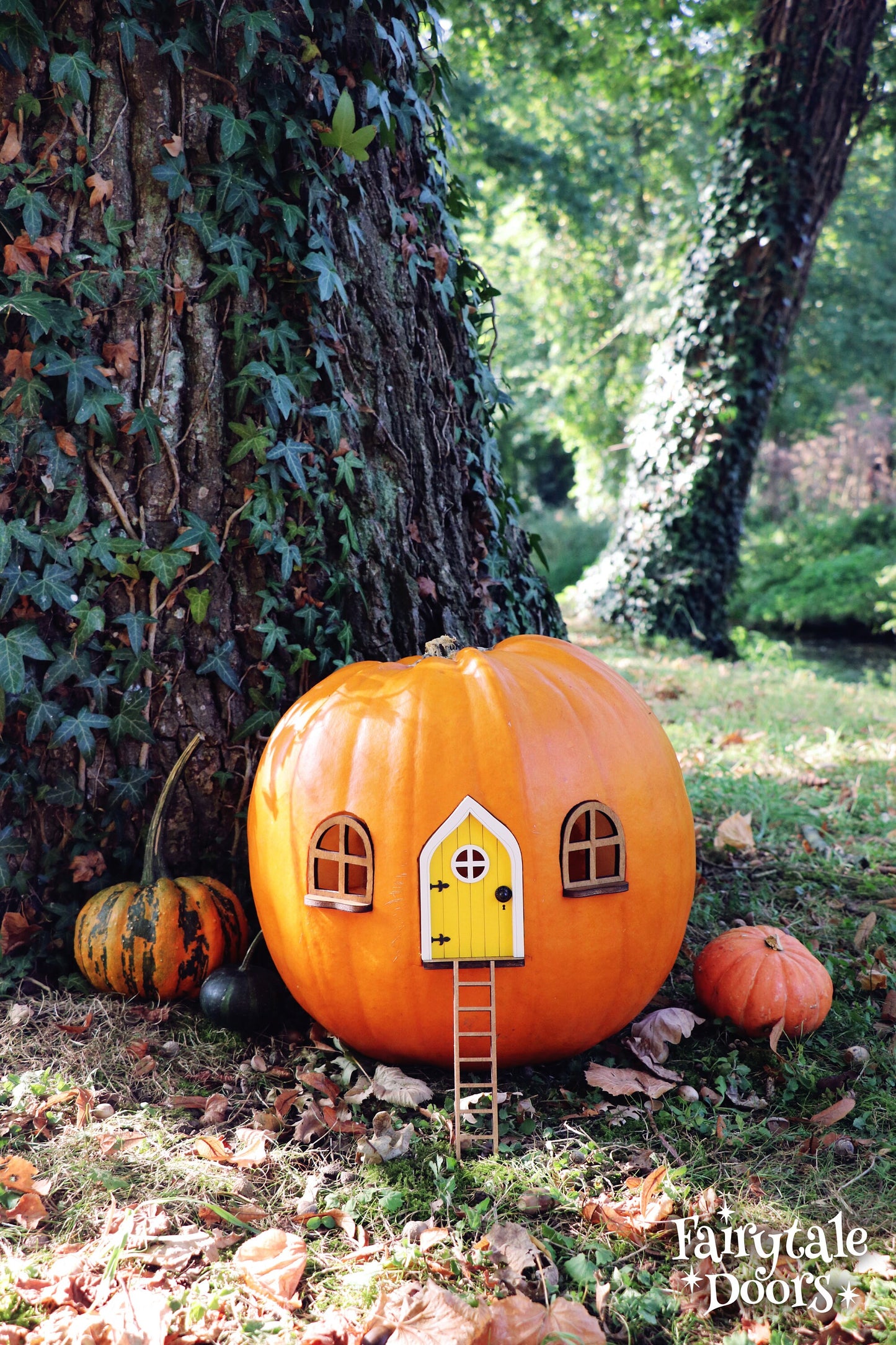 Fairy Pumpkin house set with Yellow Door