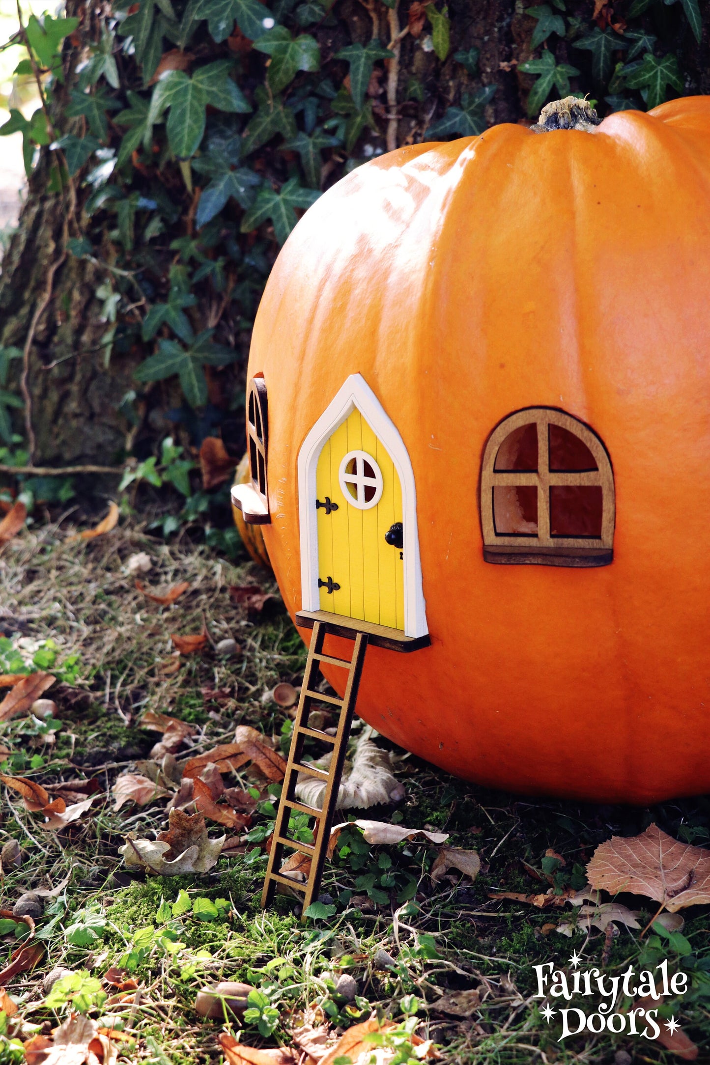 Fairy Pumpkin house set with Yellow Door