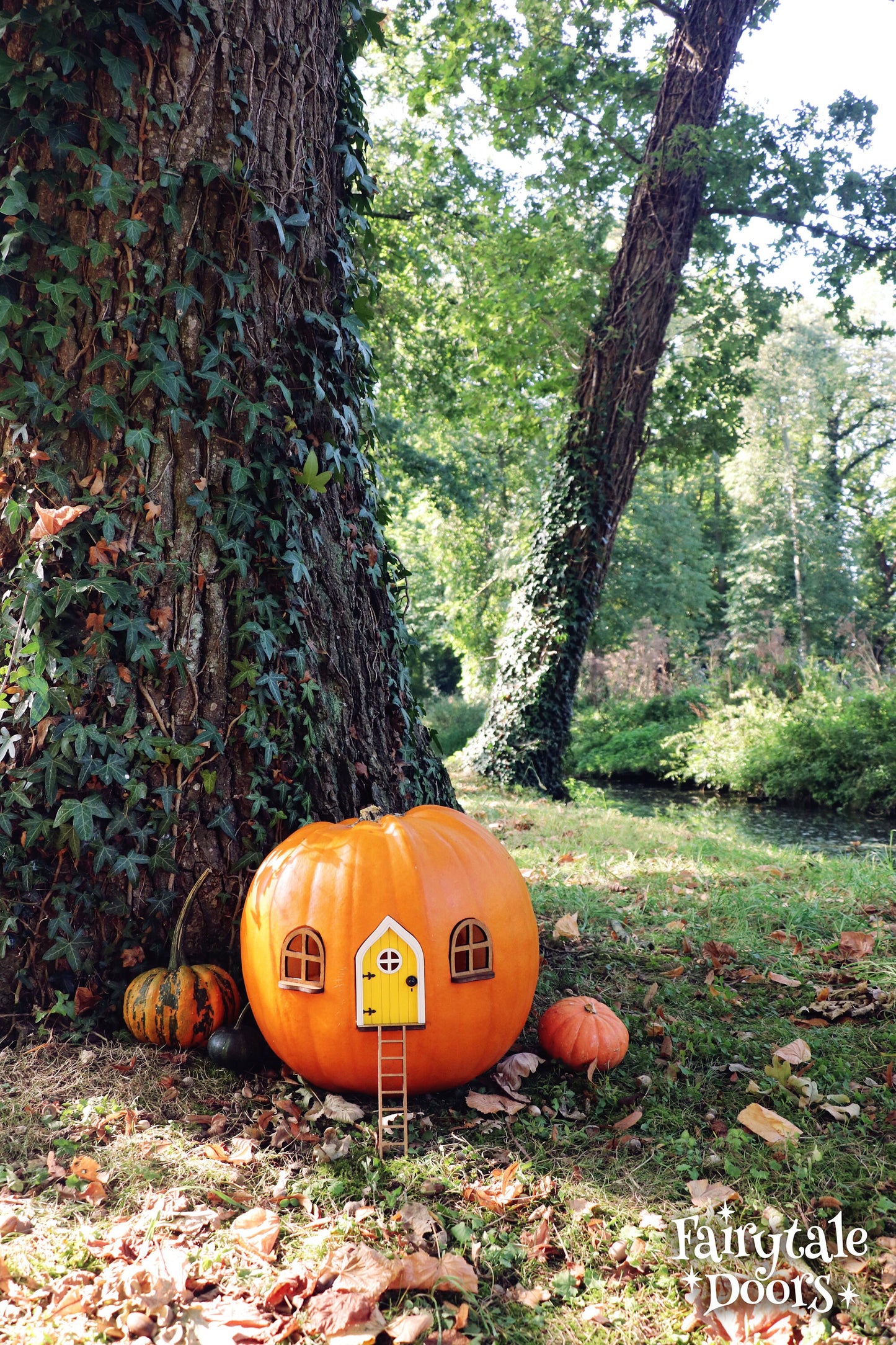 Fairy Pumpkin house set with Yellow Door