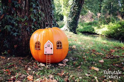 Fairy Pumpkin house set with Pink Door