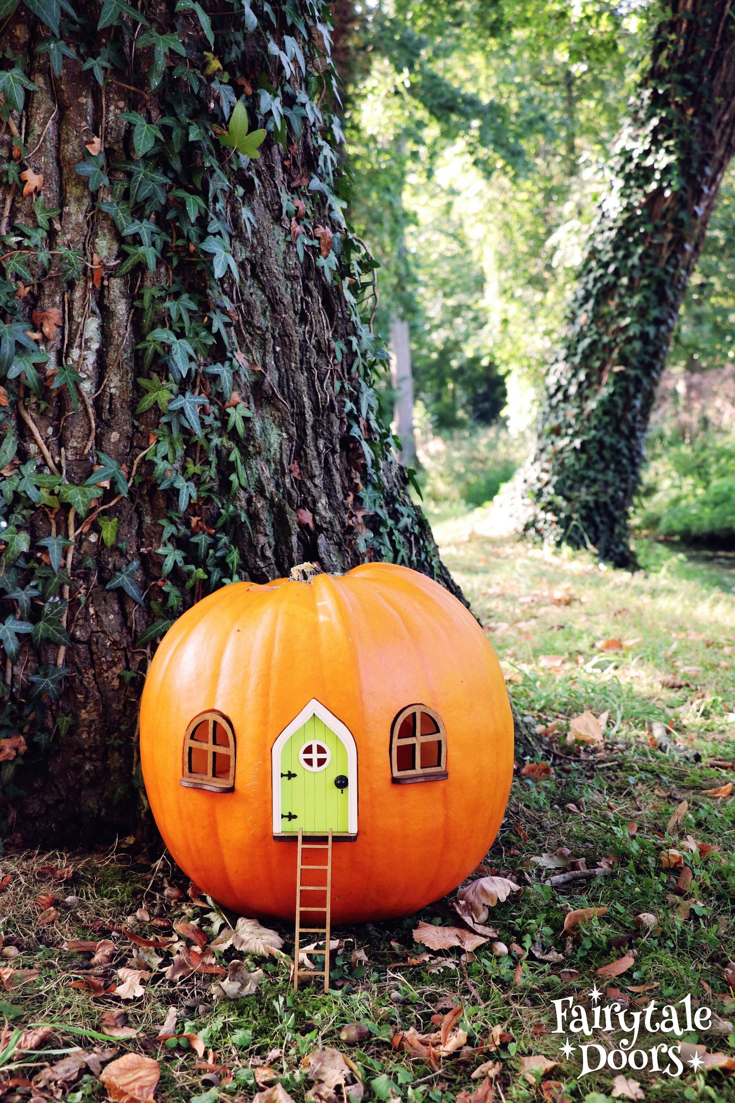 Fairy Pumpkin house set with Green Door