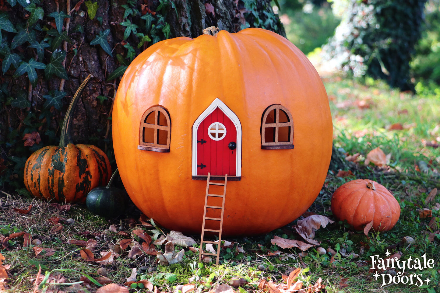 Fairy Pumpkin house set with Red Door